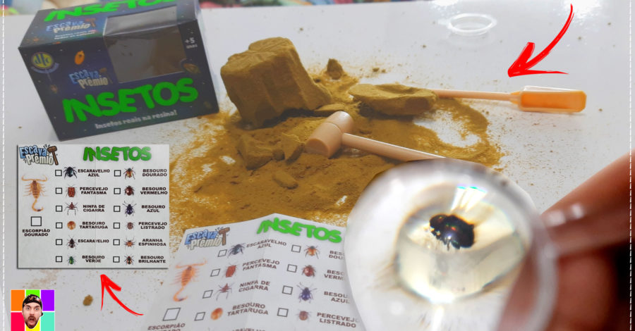 Escava PRÊMIO ( Insetos Reais na Resina ) dtc