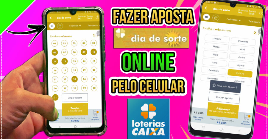 COMO APOSTAR DIA DE SORTE PELO APP LOTERIAS CAIXA PELO CELULAR ( JOGO ONLINE ) E ESCOLHER O MÊS