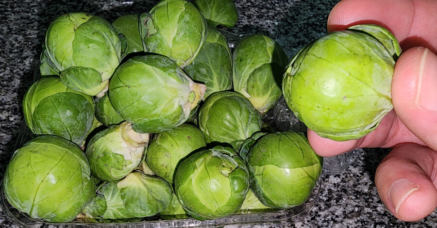 🥬 Comprei o menor repolho que já vi na minha vida ( Mini Repolho ) 😳