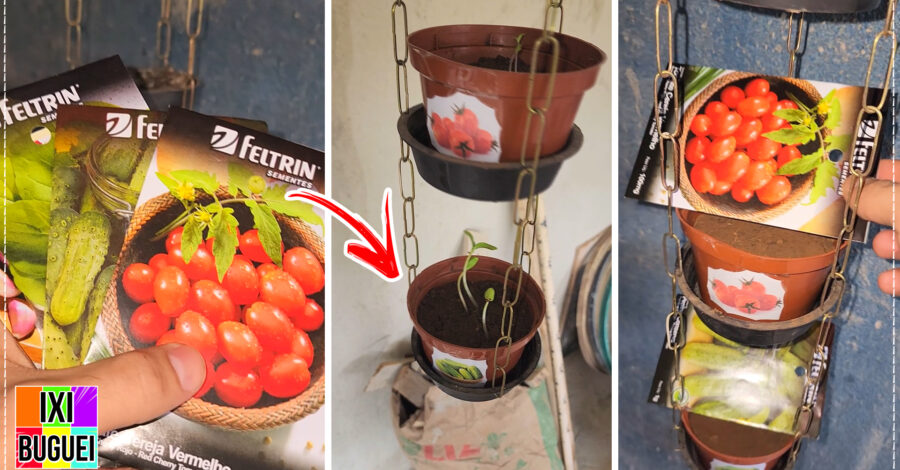 🪴 VOLTEI COM MINHA HORTA! como plantei nos vasinhos