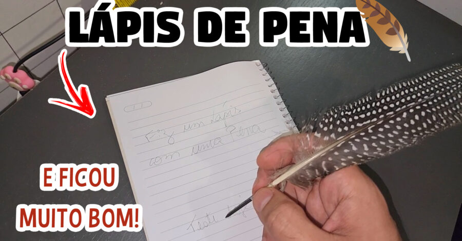 PIOR QUE DEU CERTO 🪶 FIZ UM LÁPIS DE PENA