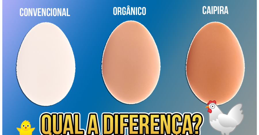 🥚 VOCÊ SABE A DIFERENÇA DO OVO CONVENCIONAL PARA O CAIPIRA E O ORGÂNICO ?