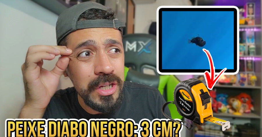 😲 PEIXE DIABO NEGRO É PEQUENO E MUITA GENTE PENSOU QUE ELE FOSSE GIGANTE