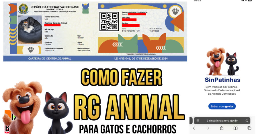 🐶😺 COMO FAZER O RG ANIMAL ( IDENTIDADE PARA GATOS E CACHORROS ) passo a passo