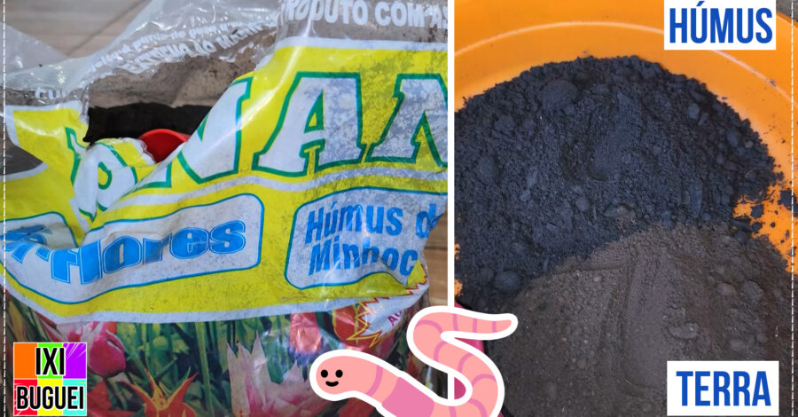 🌱 O que é HÚMUS DE MINHOCA? para que SERVE? Benefícios em colocar na terra para plantio
