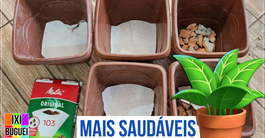 FAÇA ISSO E TENHA PLANTAS MAIS SAUDÁVEIS – SEM ARGILA EXPANDIDA