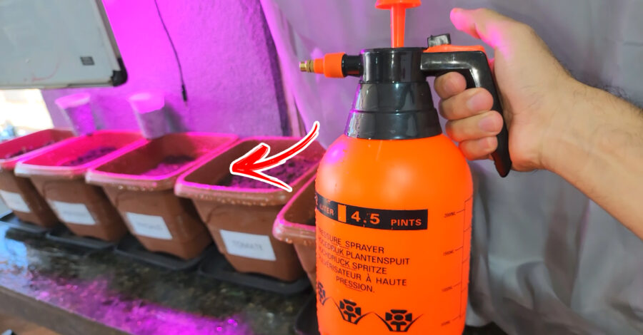 COMO FUNCIONA O PULVERIZADOR BORRIFADOR SPRAY MULTIUSO