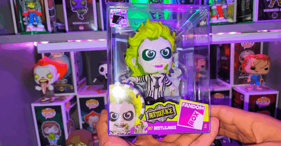 MEU 1º FANDOM BOX FOI O BEETLEJUICE