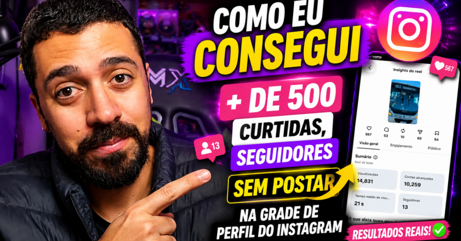 COMO EU CONSEGUI + DE 500 CURTIDAS, SEGUIDORES SEM POSTAR NA GRADE DE PERFIL DO INSTAGRAM
